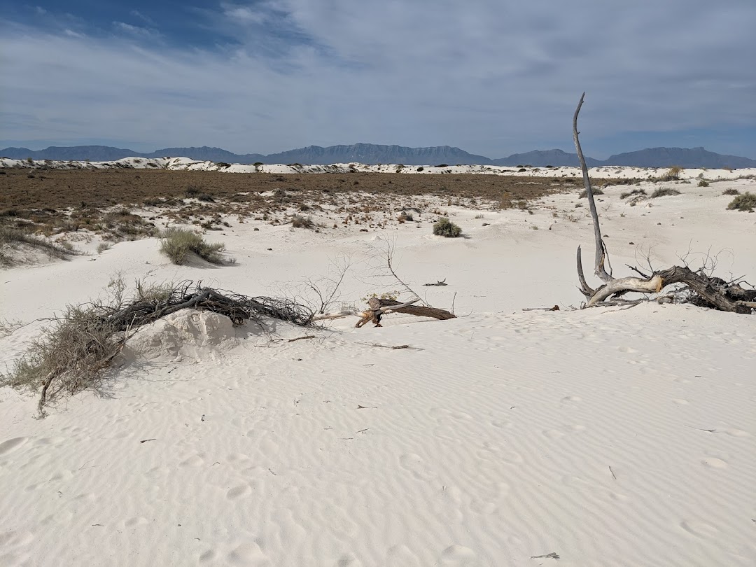 Dunes Life Nature Trail
