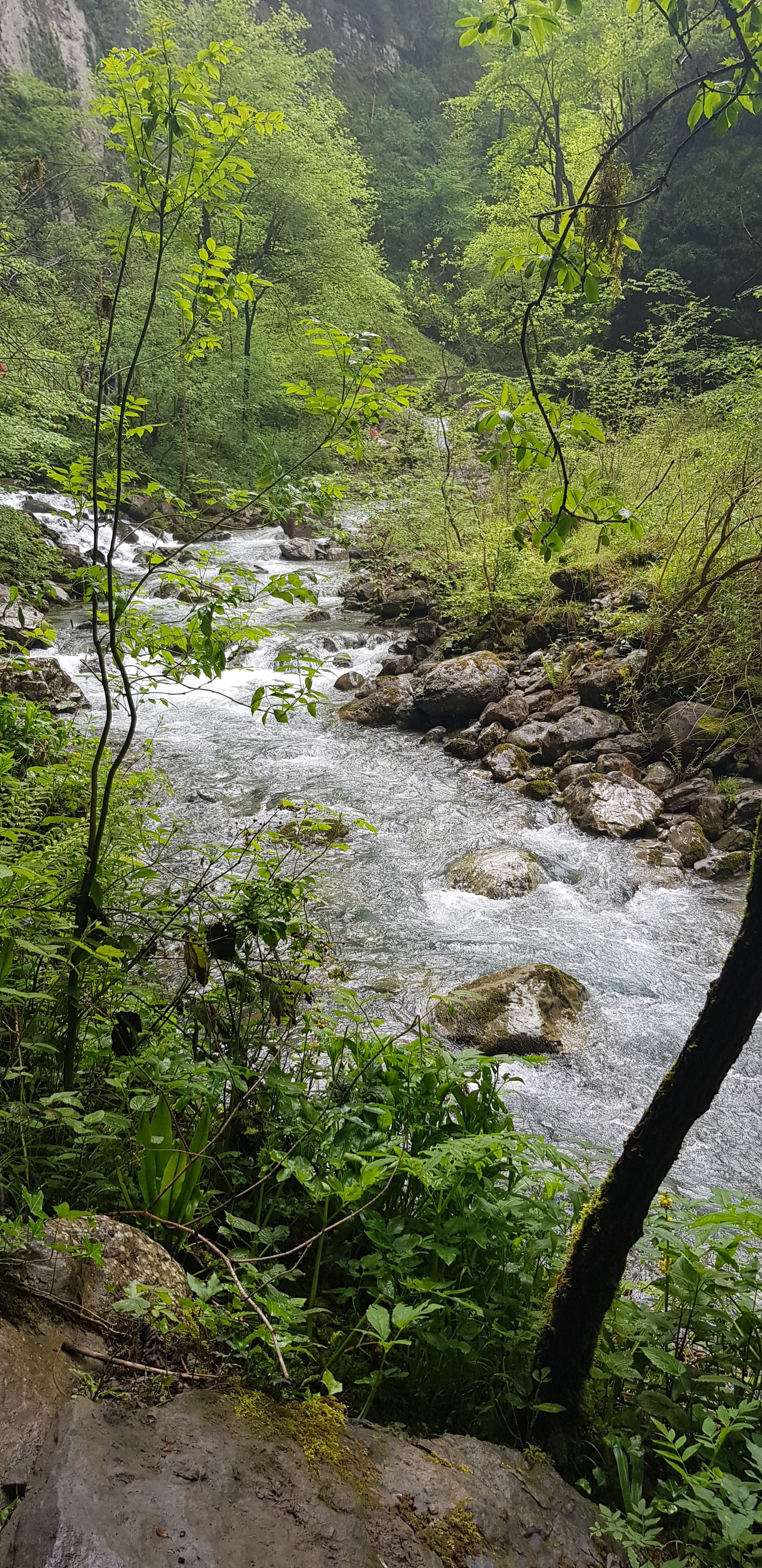Photo n° 13 de l'avis de Buble.u fait le 02/06/2018 à 07:32