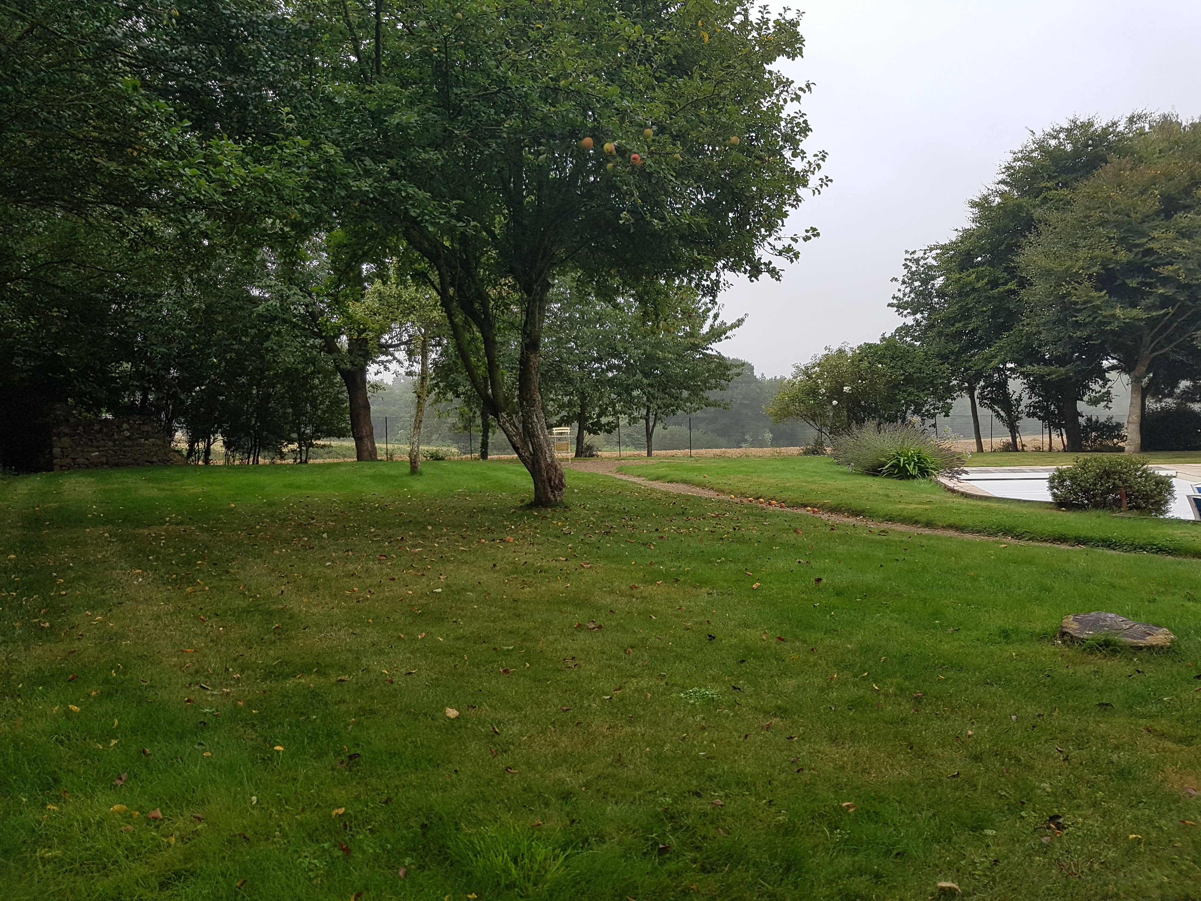 Photo n° 5 de l'avis de Dan. fait le 09/09/2017 à 14:11