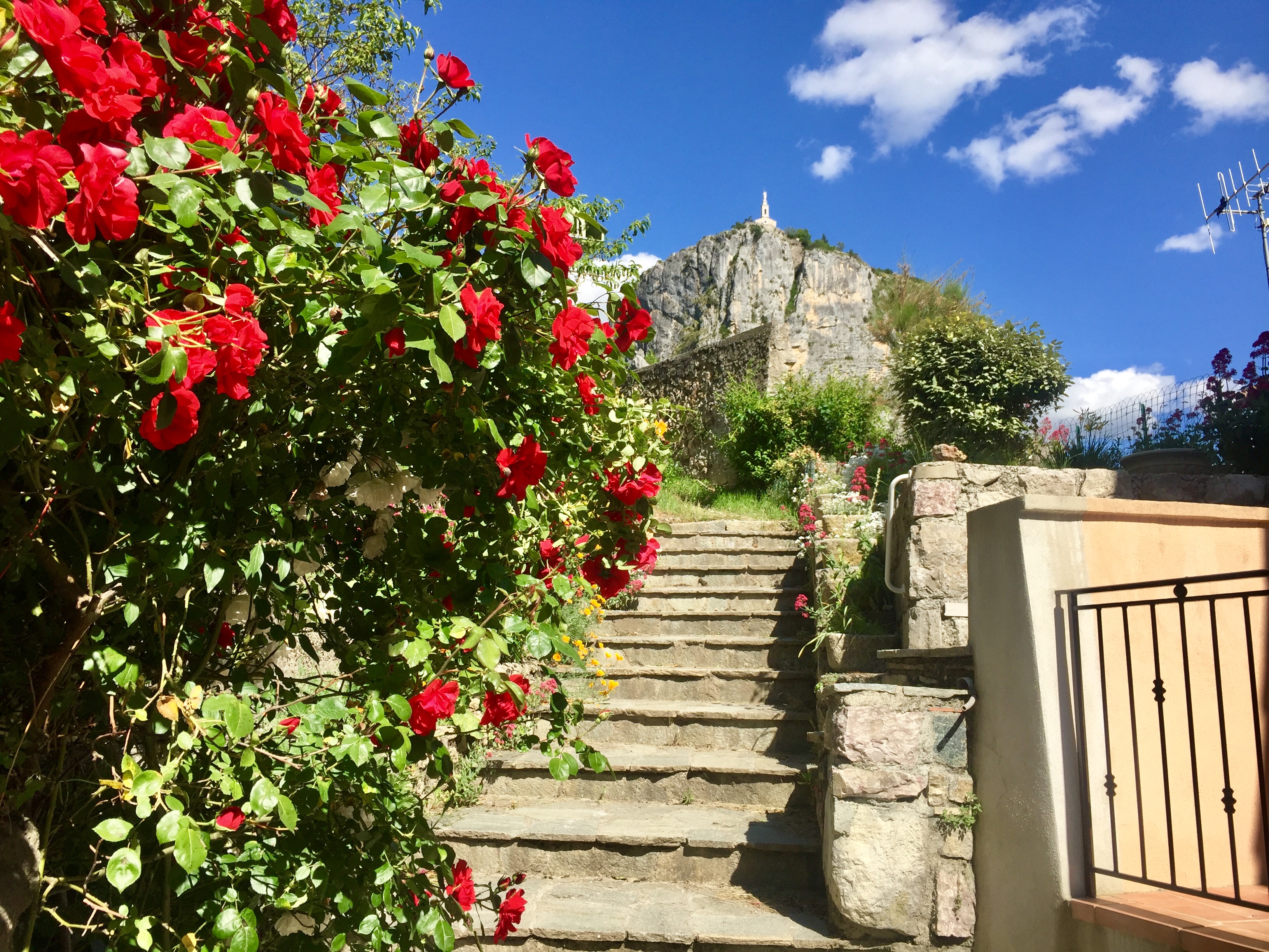 Photo n° 6 de l'avis de Jean.a fait le 23/06/2019 à 11:14