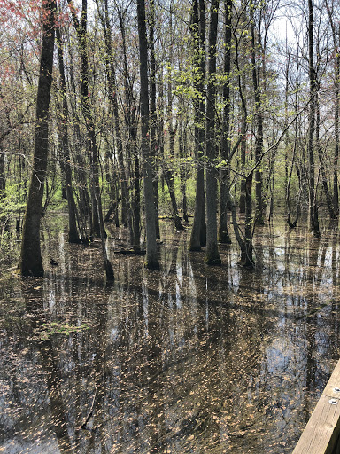 Nature Preserve «Big Creek Greenway», reviews and photos, 3785 Webb Bridge Rd, Alpharetta, GA 30022, USA