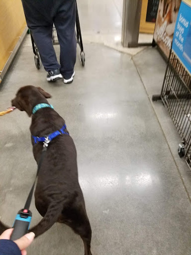 Pet Supply Store «Petco Animal Supplies», reviews and photos, 38069 Town Center Dr #222, Millville, DE 19967, USA