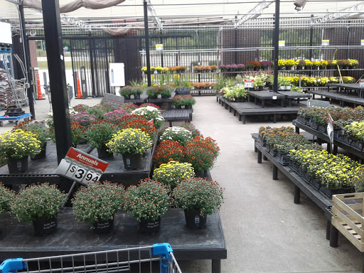 Department Store «Walmart Supercenter», reviews and photos, 25 Tobias Boland Way, Worcester, MA 01607, USA