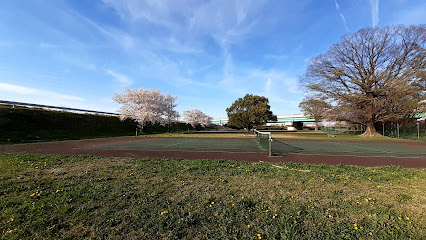 古川緑地テニスコート