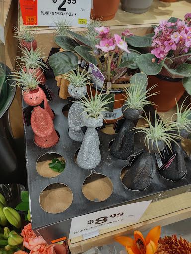 Grocery Store «Giant Food Stores», reviews and photos, 1241 Blakeslee Blvd Dr E, Lehighton, PA 18235, USA