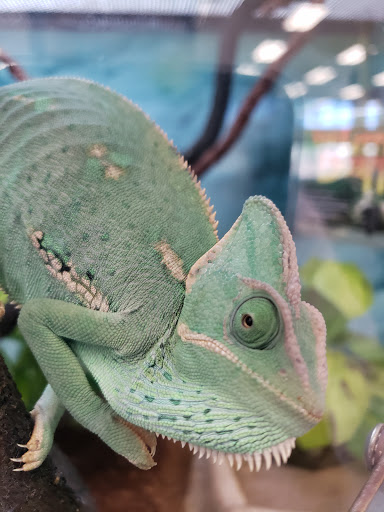Petco image