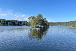 Sognsvann lake image