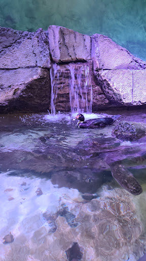 Aquarium «SeaQuest Interactive Aquarium», reviews and photos, 1201 N Hill Field Rd #1072, Layton, UT 84041, USA