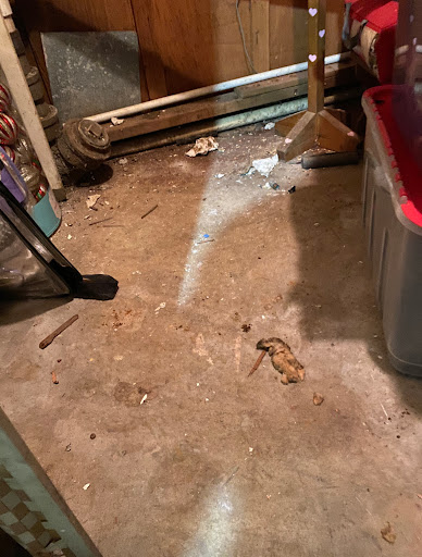 Window Installation Service «Improveit! Home Remodeling», reviews and photos