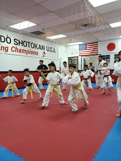 Karate Do Ryu Kai Shotokan USA