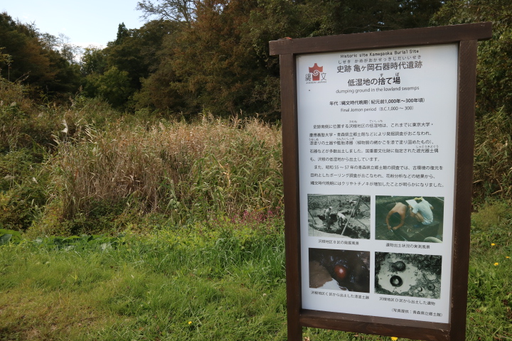 亀ヶ岡石器時代遺跡 青森県つがる市 史跡 史跡 グルコミ