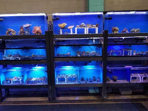 Tropical Fish Store «The Ultimate Aquarium», reviews and photos, 828 Lighthouse Ave, Monterey, CA 93940, USA