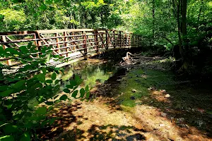 Alonzo F Bonsal Wildlife Preserve image