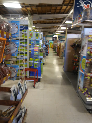 Pet Supply Store «PetSmart», reviews and photos, 3520 S El Camino Real, San Mateo, CA 94403, USA