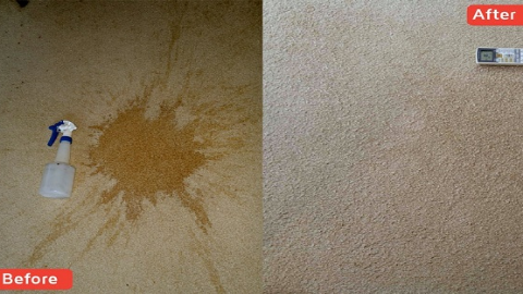 WOW Carpet Cleaning - Wellington - Laundry service
