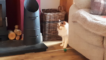 Langslie Cattery