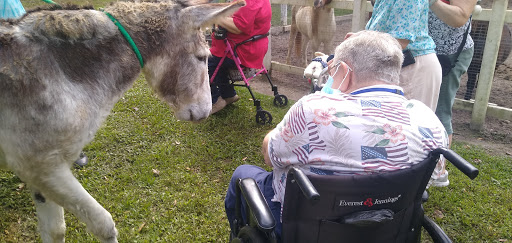 Animal Rescue Service «Nanny’s Educational Zoo And Rescue», reviews and photos, 1139 Livingston Rd, Lutz, FL 33559, USA