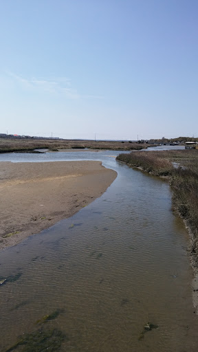 Park «Sanford D. Cox, Sr. Community Park», reviews and photos, 470 Elizabeth Dr, Murrells Inlet, SC 29576, USA