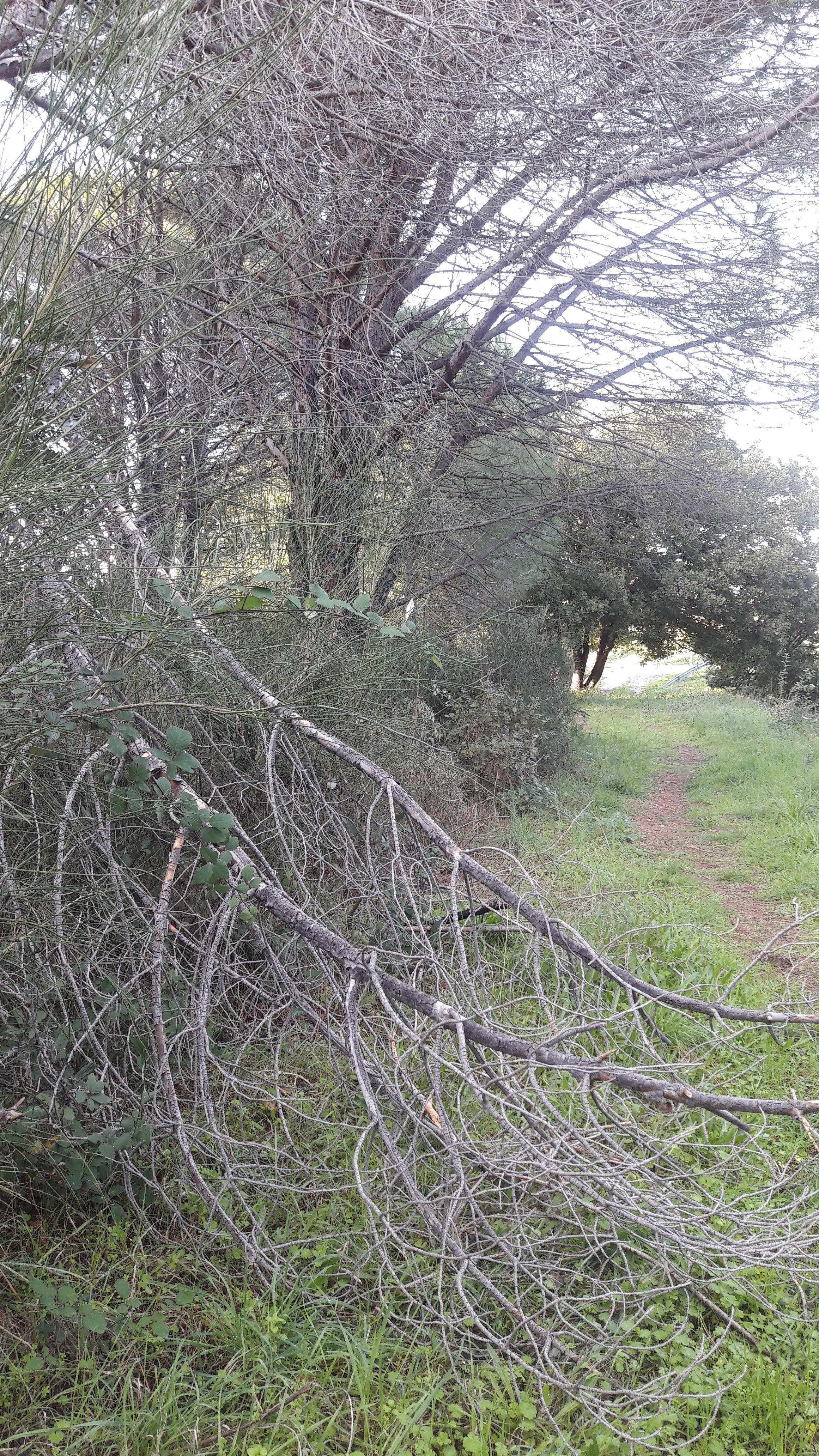 Photo n° 10 de l'avis de paloma.e fait le 24/11/2019 à 20:15