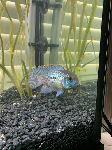 Pet Store «Fins Feathers Paws & Claws», reviews and photos, 436 Main St, Harleysville, PA 19438, USA