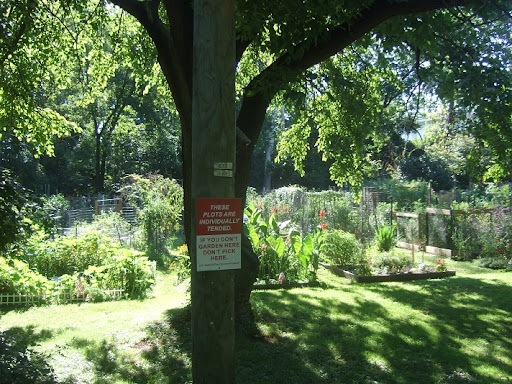 South Lee Street Community Garden