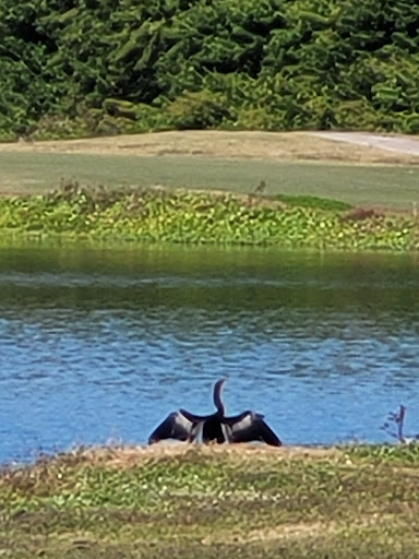Golf Club «Moccasin Wallow Golf Club. The MOC Bar and Grill», reviews and photos, 9680 Buffalo Rd, Palmetto, FL 34221, USA