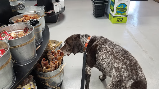 Pet Supply Store «Croton Pet Station», reviews and photos, 420 S Riverside Ave, Croton-On-Hudson, NY 10520, USA