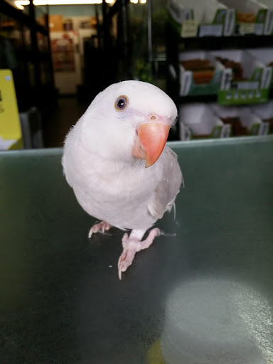 Pet Store «Rivers & Reefs Pet Center», reviews and photos, 2008 S 1st St, Austin, TX 78704, USA