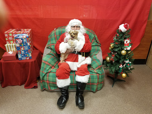 Pet Supply Store «PetSmart», reviews and photos, 215 Needham St, Newton, MA 02464, USA