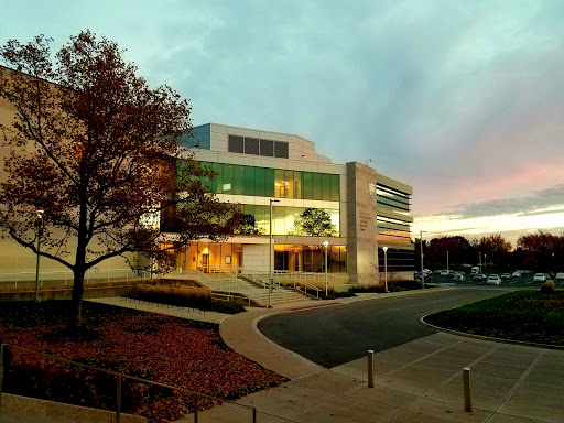 Faculty of science Toledo