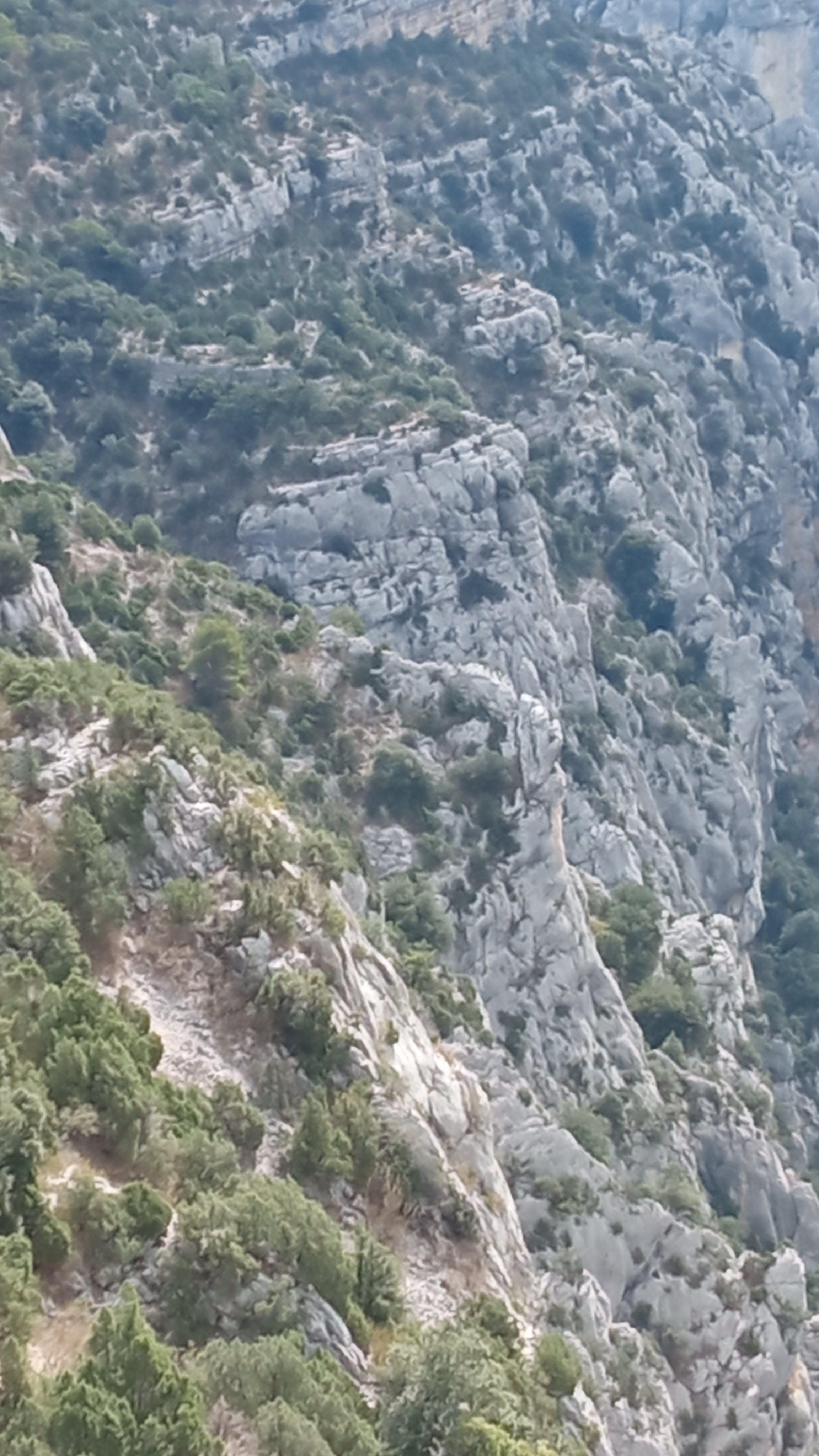 Photo n° 2 de l'avis de Chrystelle. fait le 01/09/2022 à 15:38