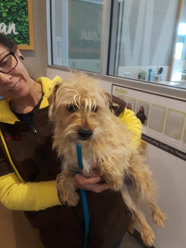 Pet Supply Store «Petco Animal Supplies», reviews and photos, 2687 Countryside Dr, Turlock, CA 95380, USA