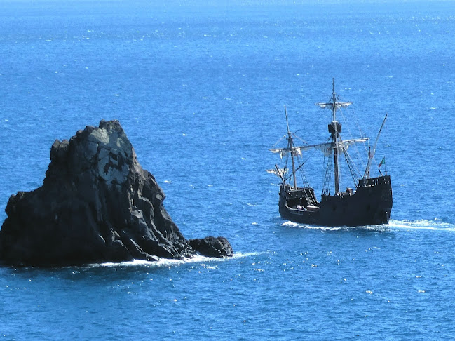 Avaliações doGaviao - Dolphin & Whale watching trips em Funchal - Agência de viagens