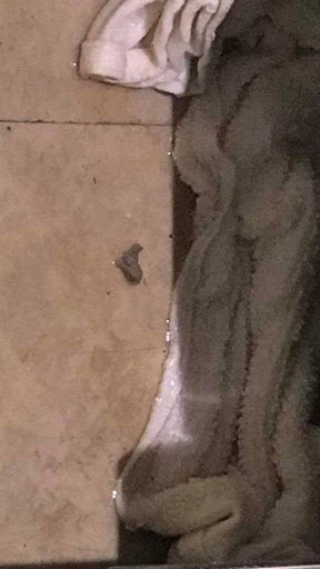 Grocery Store «Safeway», reviews and photos, 2001 McHenry Ave Suite C, Modesto, CA 95350, USA