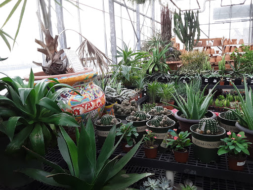 Florist «Bayport Flower Houses, Inc.», reviews and photos, 940 Montauk Hwy, Bayport, NY 11705, USA