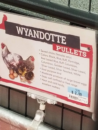 Home Improvement Store «Tractor Supply Co.», reviews and photos, 154 Vestal Pkwy W, Vestal, NY 13850, USA