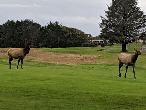 Golf Club «Gearhart Golf Links», reviews and photos, 1157 N Marion Ave, Gearhart, OR 97138, USA