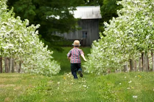 Domaine RITT - Cidery & Orchard image