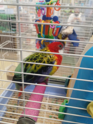 Pet Supply Store «Pet World», reviews and photos, 6527 Centralia Rd, Chesterfield, VA 23832, USA