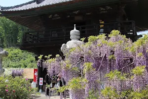 大用山 長泉寺 (児玉三十三霊場31番、東国花の寺) image