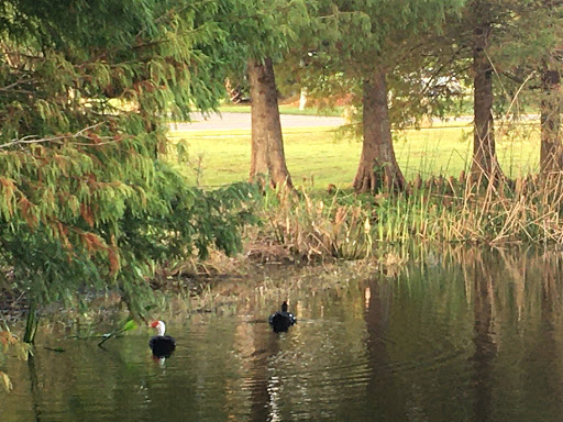 Park «Secret Lake Park», reviews and photos, 200 N Triplet Lake Dr, Casselberry, FL 32707, USA