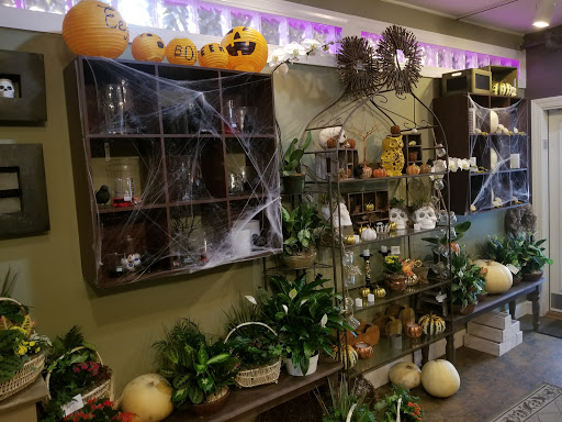 Florist «The Frugal Flower», reviews and photos, 736 Boston Post Rd, Sudbury, MA 01776, USA
