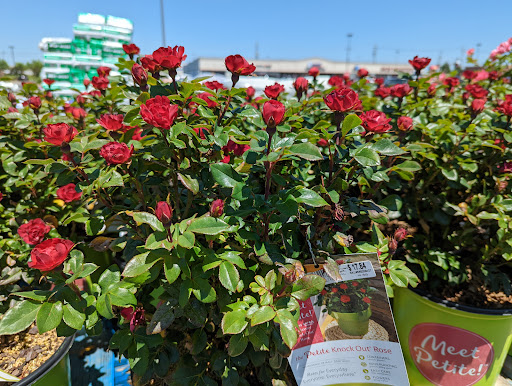 Department Store «Walmart Supercenter», reviews and photos, 10 Kimberly Ln, Cranberry, PA 16319, USA