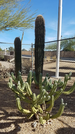 History Museum «Hall of Flame Fire Museum», reviews and photos, 6101 E Van Buren St, Phoenix, AZ 85008, USA