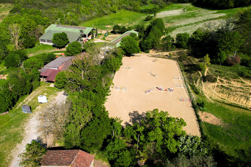 Écuries du Fiton à Vic-Fezensac