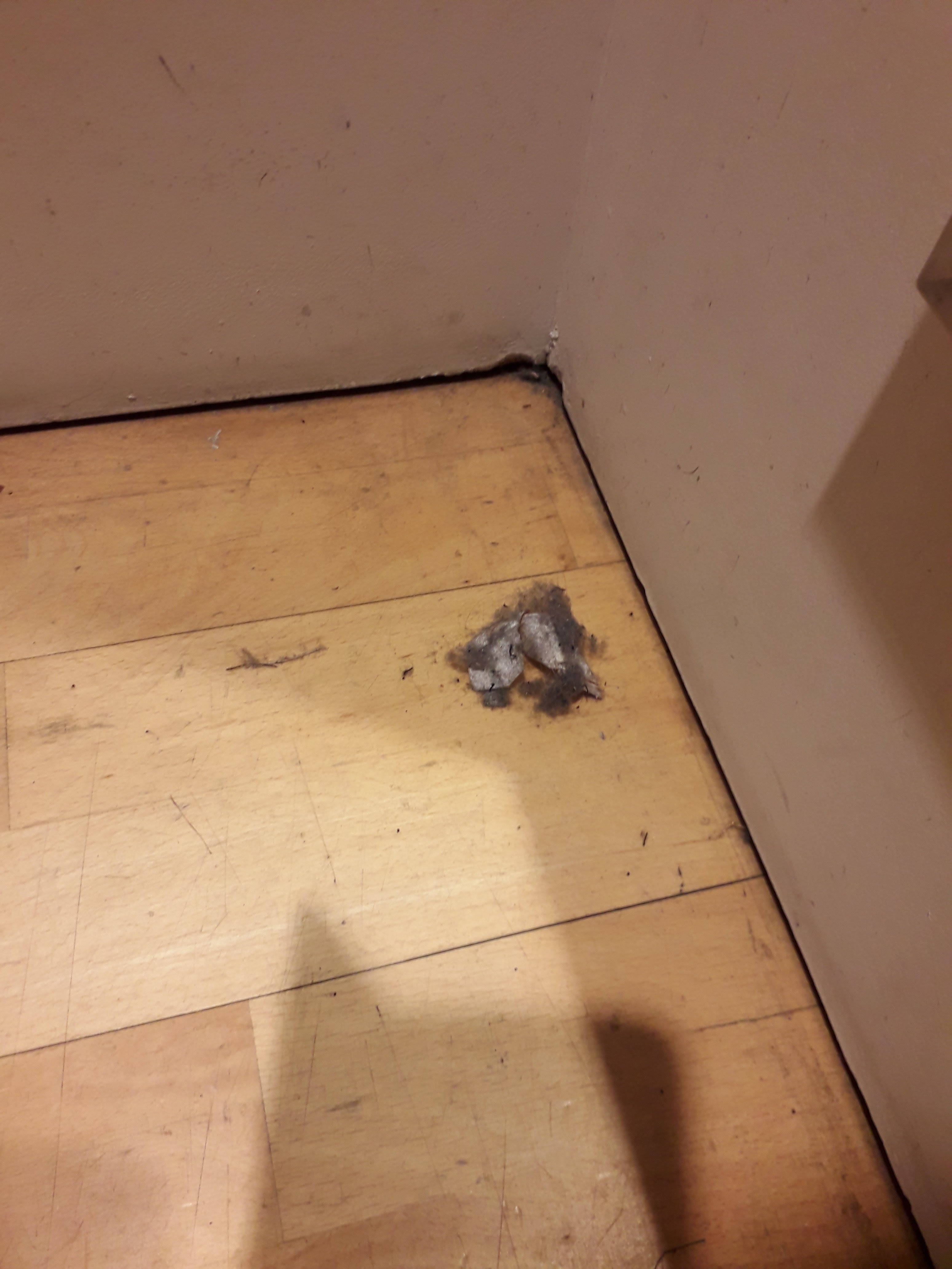 Photo n° 1 de l'avis de Ludi.o fait le 29/08/2019 à 16:52
