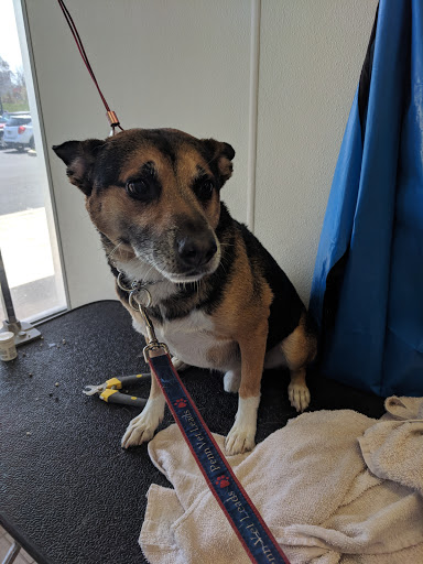 Pet Supply Store «Pet Supplies Plus», reviews and photos, 4024 Bethlehem Pike, Telford, PA 18969, USA