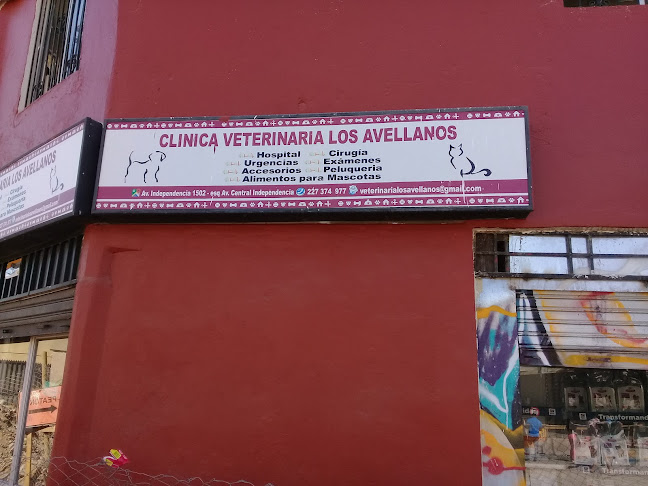 Clinica Veterinaria Los Avellanos