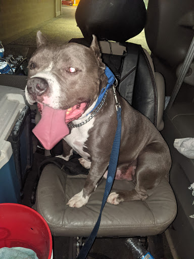 Laundromat «Auburn Thrifty Wash», reviews and photos, 13404 Lincoln Way, Auburn, CA 95603, USA