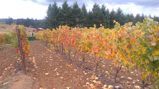 Vineyard «Ponzi Winery», reviews and photos, 19500 SW Mountain Home Rd, Sherwood, OR 97140, USA